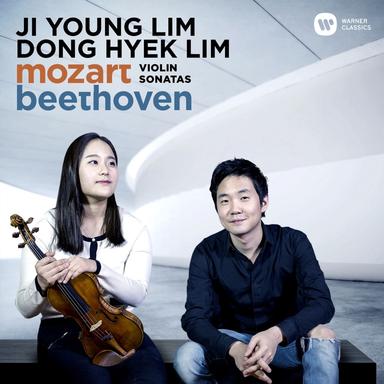 Violin Sonata No. 1 in D Major, Op. 12: III. Rondo (Allegro)