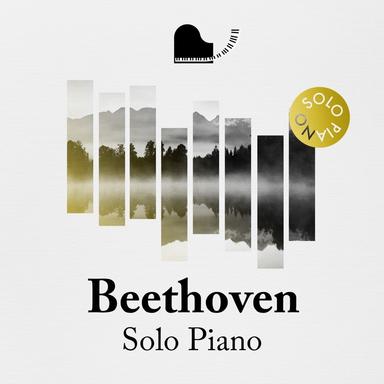 Piano Sonata No. 12 in A-Flat Major, Op. 26, "Funeral March": II. Scherzo (Allegro molto) - Trio