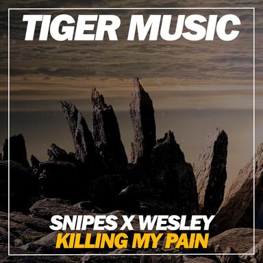 Killing My Pain