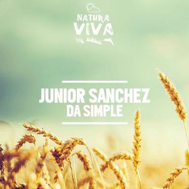 Simple Thingz - Dub Mix