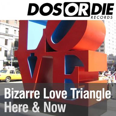 Bizarre Love Triangle - Rocco & Bass-T Now or Never Remix Cut