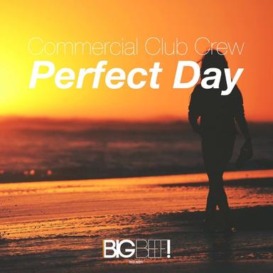 Perfect Day - Radio Edit