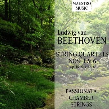 String Quartet No. 1 in F Major, Op. 18, No. 1: IV. Allegro