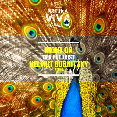 Burning Bridges - Helmut Dubnitzky Remix
