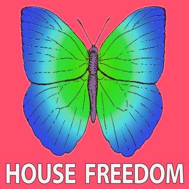 Electric Lady - Bunny House Remix