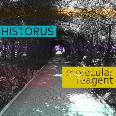 Molecular EP