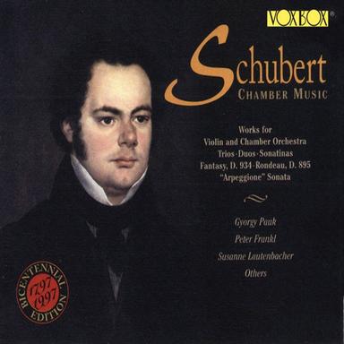 Arpeggione Sonata in A Minor, D. 821 (Arr. for Cello & Piano): I. Allegro moderato