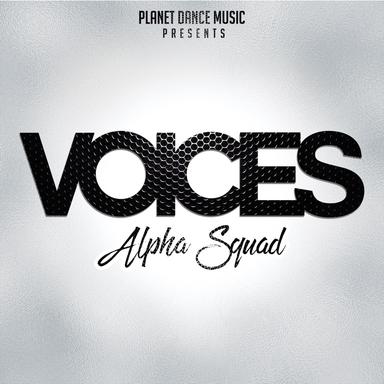 Voices - Radio Edit