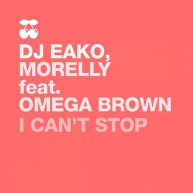 I Can't Stop - Steel Mix