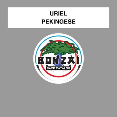 Pekingese - Ville Lope Remix