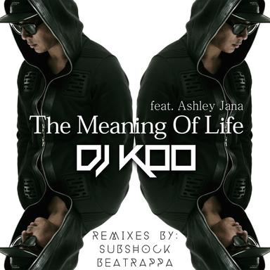 The Meaning of Life (feat. Ashley Jana) - Single