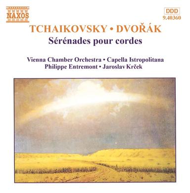 Serenade for Strings in E Major, Op. 22, B. 52: IV. Larghetto