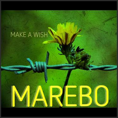 Make a Wish