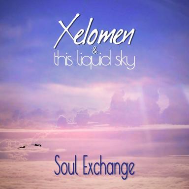 Soul Exchange