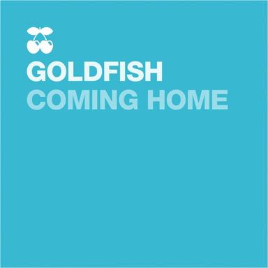 Coming Home - Dino Moran Remix