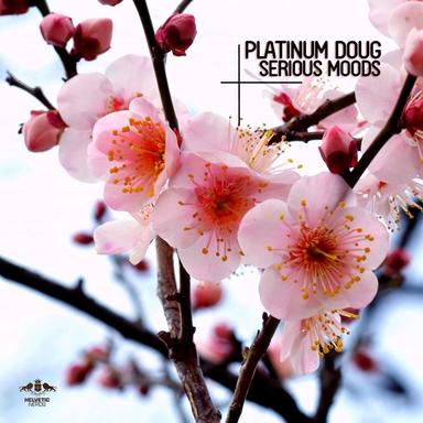 Serious Moods - Original Mix