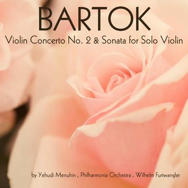 Violin Concerto No. 2, Sz. 112: III. Allegro molto