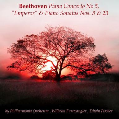 Piano Concerto No. 5 in E-Flat major, Op. 73 " Emperor": II. Adagio un poco mosso