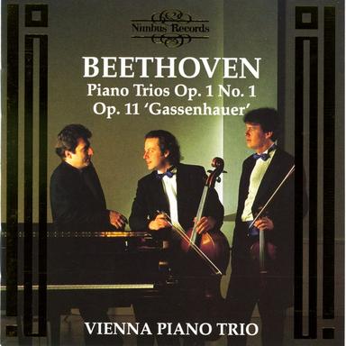 Piano Trio In B-Flat Major, Op. 11 "Gassenhauer": I. Allegro con brio