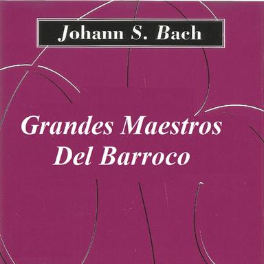 Orchestral Suite No. 3 in D Major, BWV 1068: II. Air