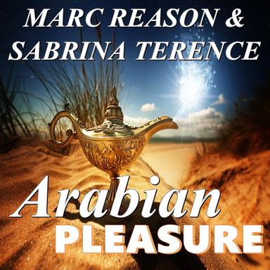 Arabian Pleasure (DJ A.N.D.Y. Remix)