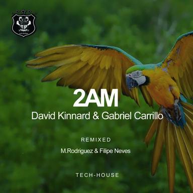 2AM - M. Rodriguez & Filipe Neves Remix