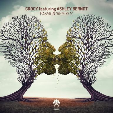 Passion - Nico Parisi Remix