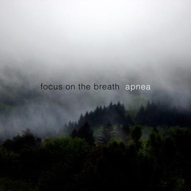Lucidity
