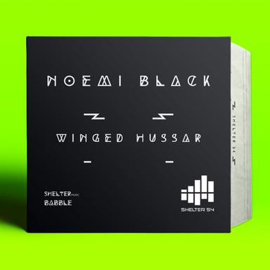 Winged Hussar