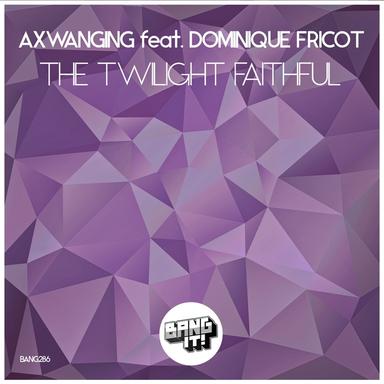 The Twilight Faithful - Bitas Remix