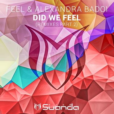 Did We Feel - Whiteout Remix